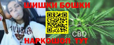 стафф Апшеронск