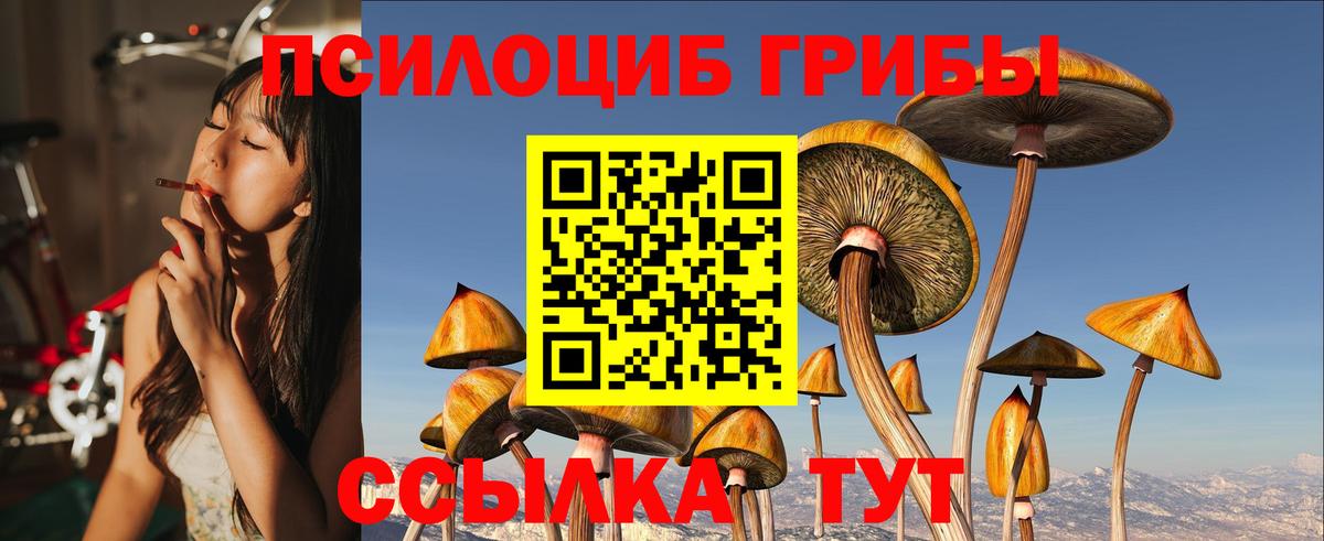 Галлюциногенные грибы GOLDEN TEACHER Владимир